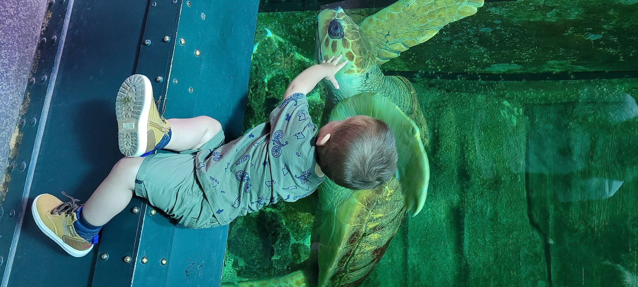 Loukas a rejoint le concours — aidez-le/la à gagner de superbes lots ! adventure, child, climbing, elbow, fun, grass, green, human_leg, jungle, leisure, organism, outdoor_shoe, recreation, rock, sandal, sitting, sneakers, underwater, walking_shoe