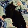 animal, bed, black_cat, blanket, cartoon, cat, character, comfort, cozy, cute, disney, domestic, feline, indoor, pattern, pet, resting, sleepy, soft, stitch