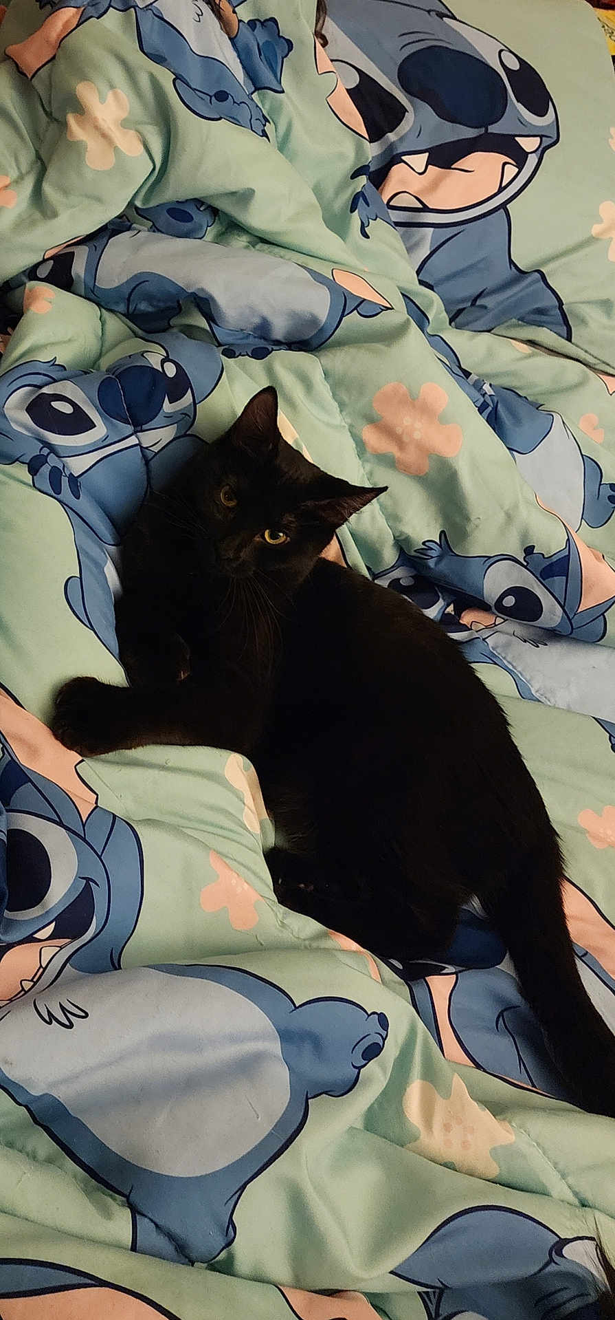 Delilah