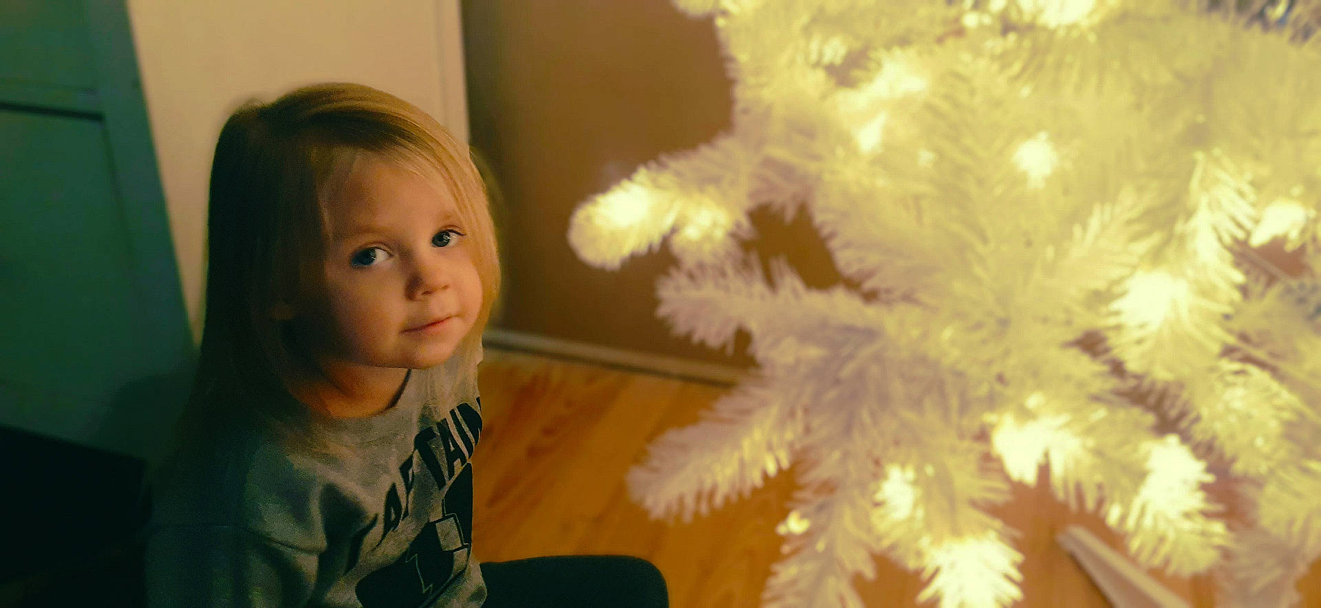 Zaphire is registered to the contest to win money with this photo: child, christmas, christmas_eve, christmas_ornament, christmas_tree, holiday, ornament, person, plant, room, smile, toddler, tree