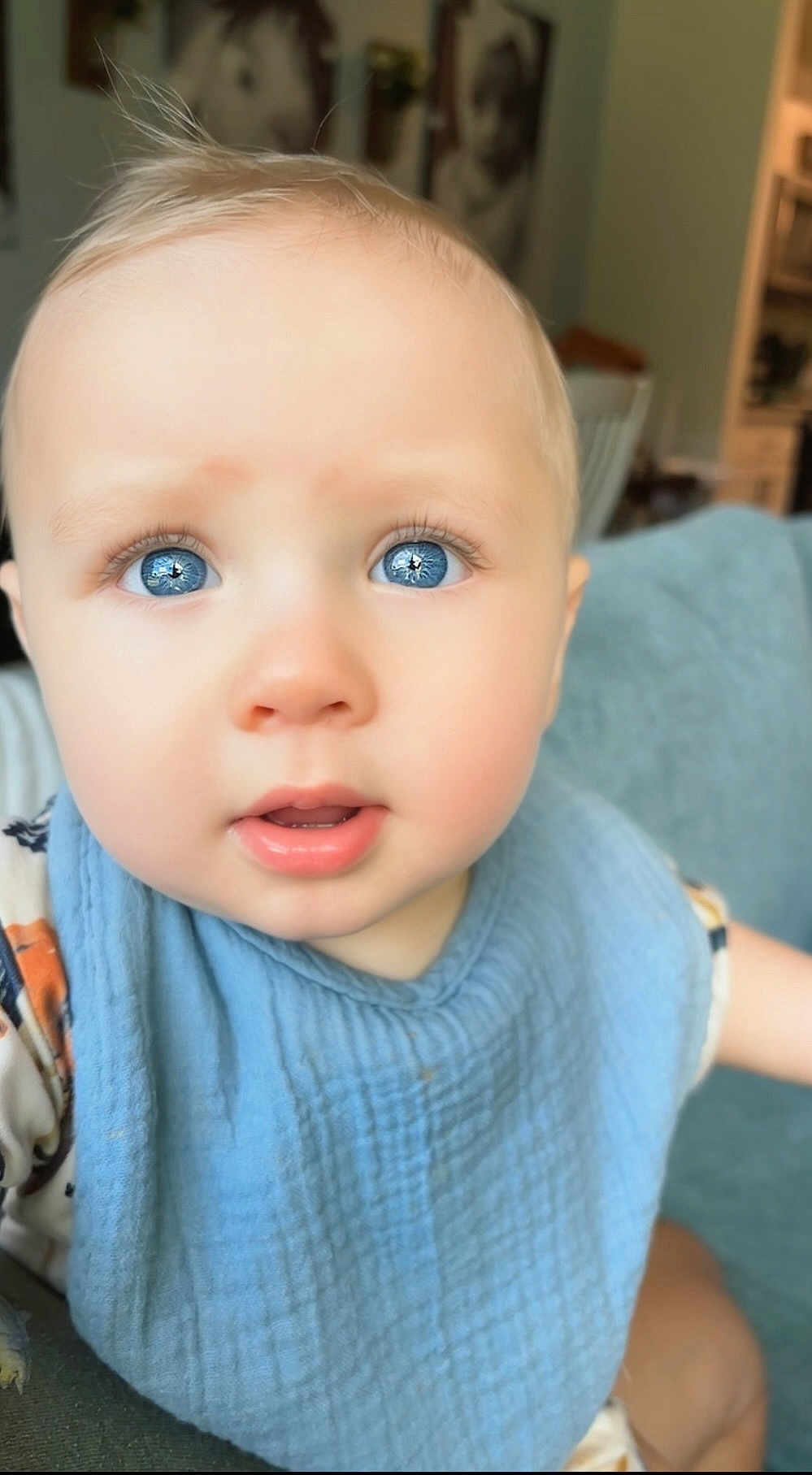 Edward Eible is registered to the contest to win money with this photo: baby, blue_eyes, bib, close_up, curious, face, indoor, infant, light_hair, person, portrait, soft_texture, toddler, young_child, cute, child, expression, clothing, skin, head