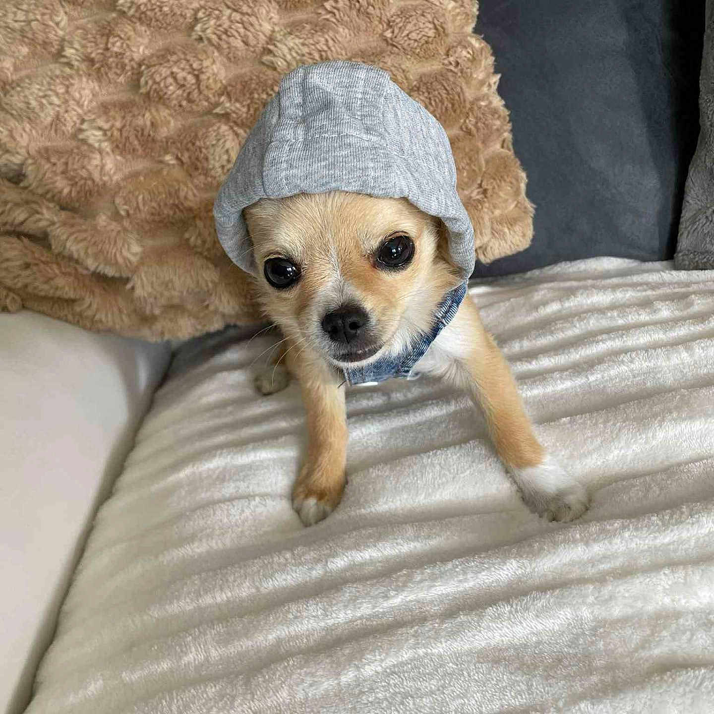 Asko