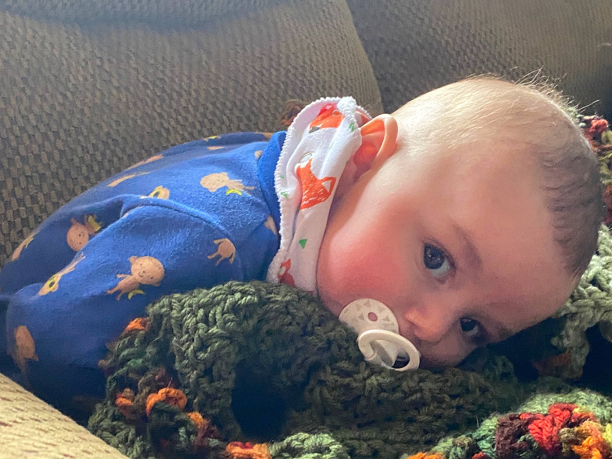 Donald is registered to the contest to win money with this photo: baby, baby_products, baby_toddler_clothing, child, comfort, eye, grass, happy, iris, linens, mammal, mouth, nap, nose, pattern, people_in_nature, person, sitting, toddler, vertebrate