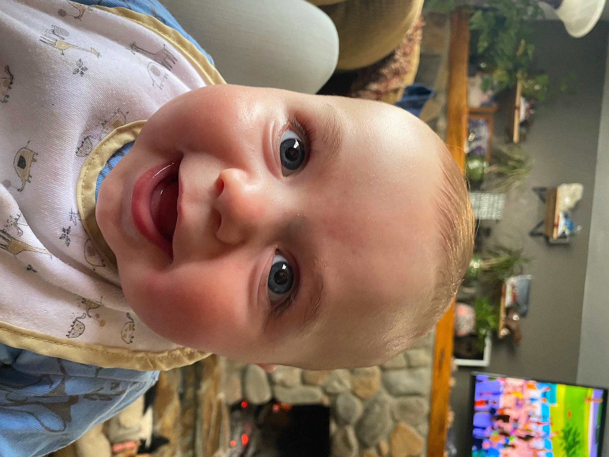 Donald is registered to the contest to win money with this photo: baby, cheek, chin, eye, eyebrow, eyelash, face, forehead, happy, head, headgear, iris, lip, mouth, nose, person, picture_frame, plant, skin, smile