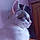 Romy
