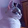 Romy