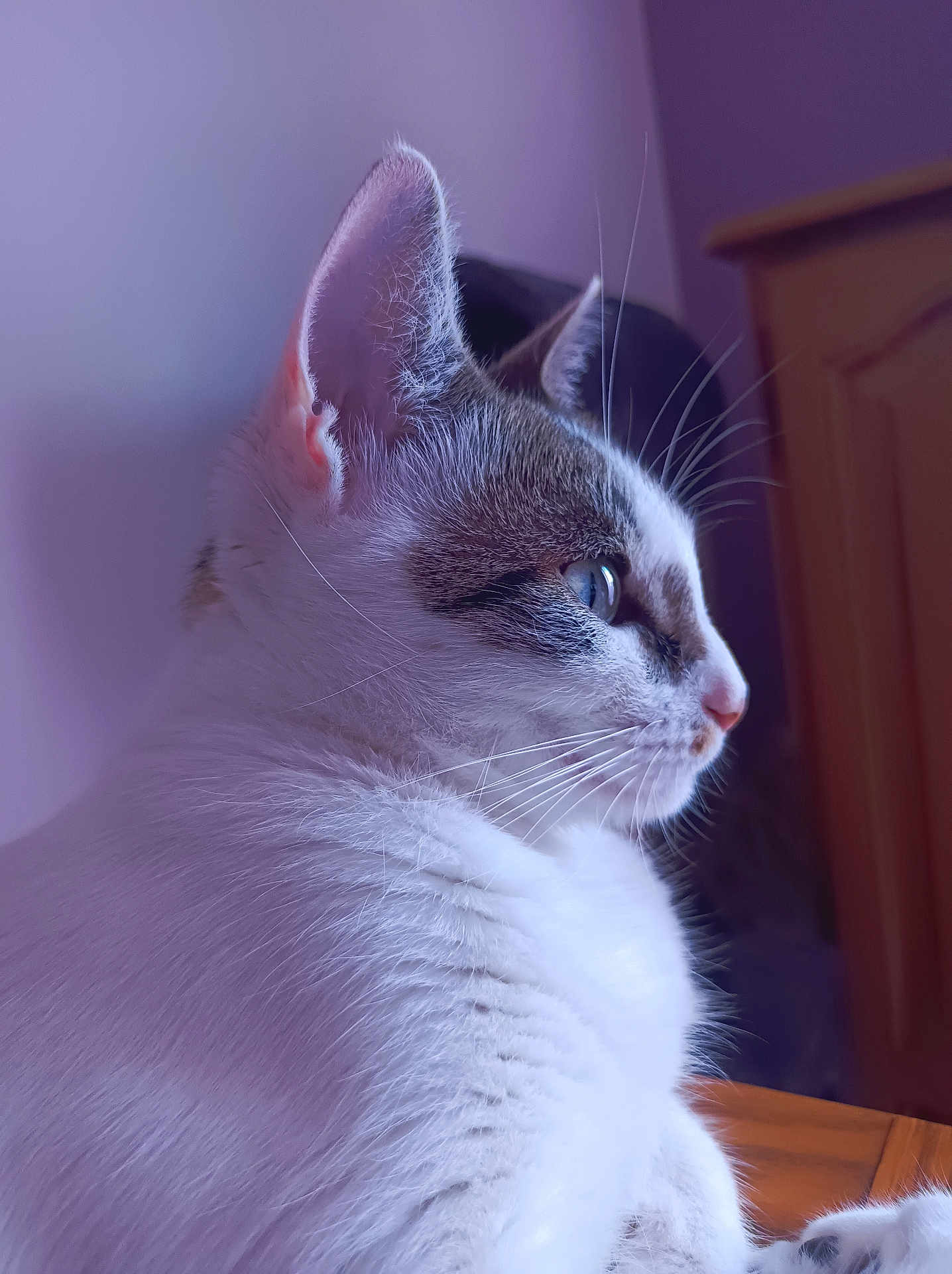 Romy
