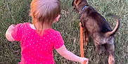 Bodie is registered to the contest to win money with this photo: toddler, child, dog, leash, grass, outdoor, walking, pet, summer, nature, animal, baby, grass_field, casual_clothing, playful, young_child, daylight, companionship, fun, exploration