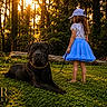 Mowgli is registered to the contest to win money with this photo: dog, black_dog, child, girl, blue_skirt, cap, leash, forest, trees, sunlight, grass, nature, outdoor, summer, pet, animal, greenery, sunset, walking, companionship