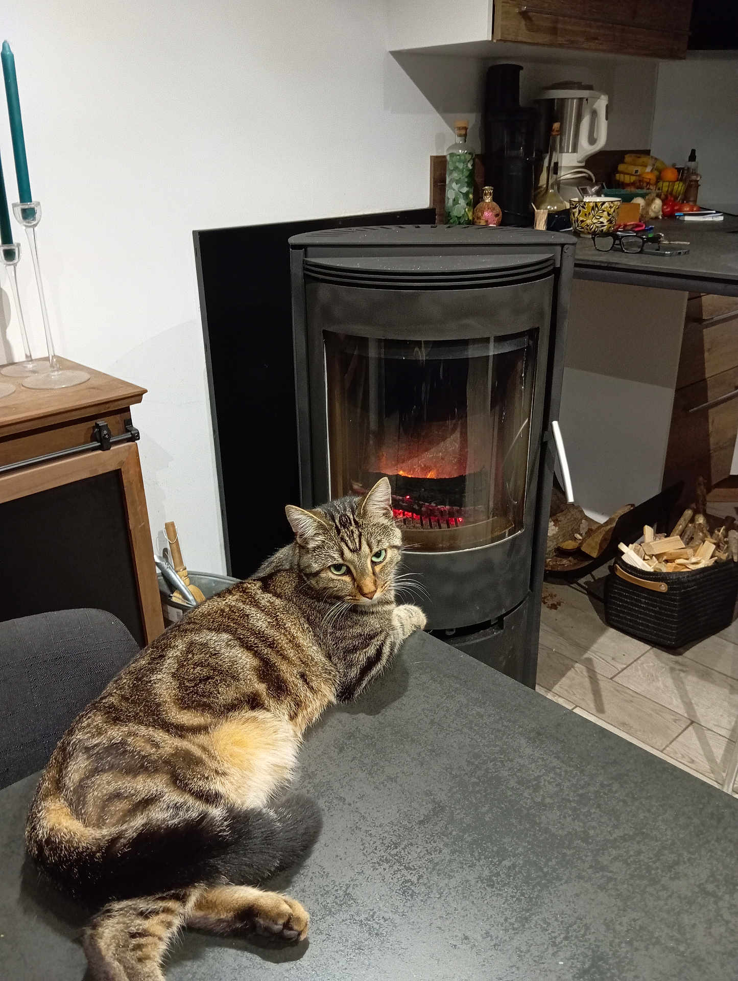 Moutik a rejoint le concours — aidez-le/la à gagner de superbes lots ! cat, tabby, fireplace, table, kitchen, indoor, domestic, relaxed, furniture, wood, glass, candle, counter, appliance, food, fruit, basket, floor, home, pet