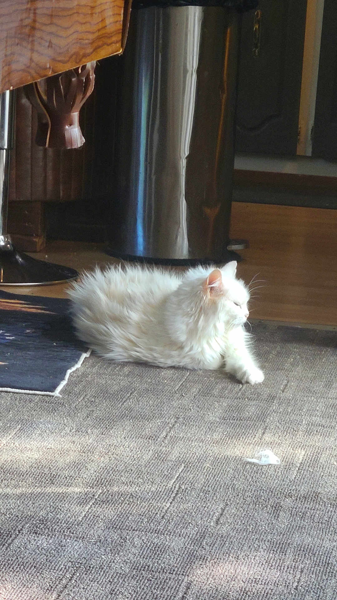 Missy