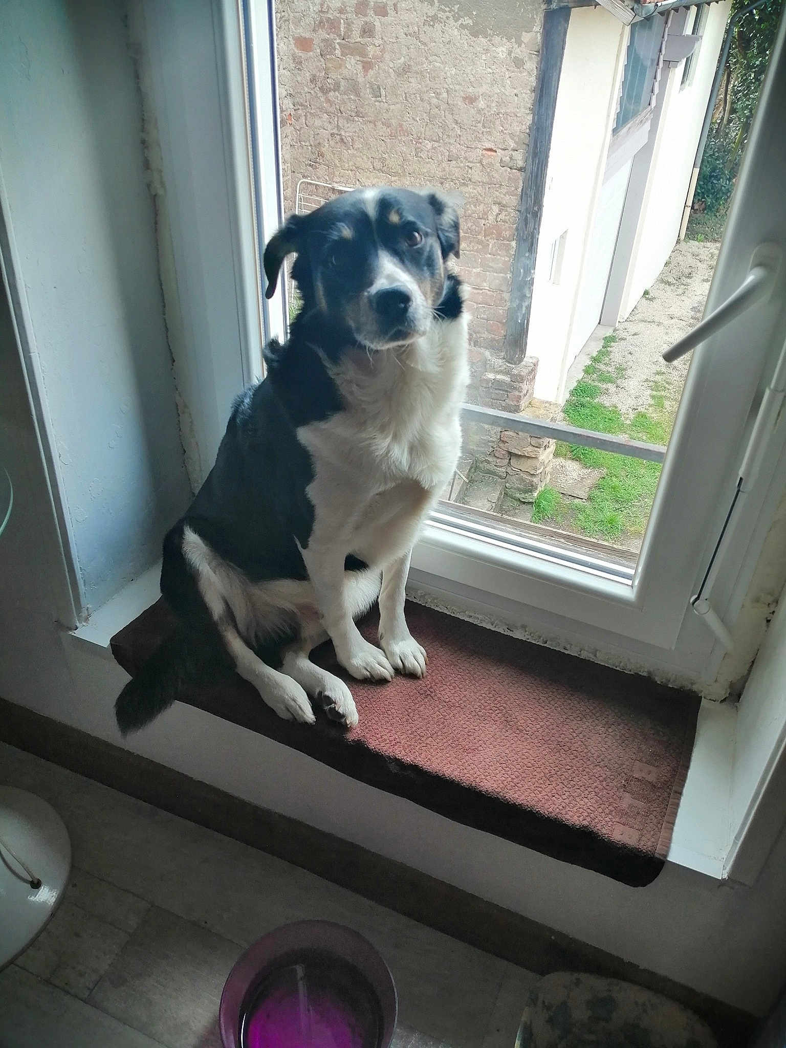 Benjy