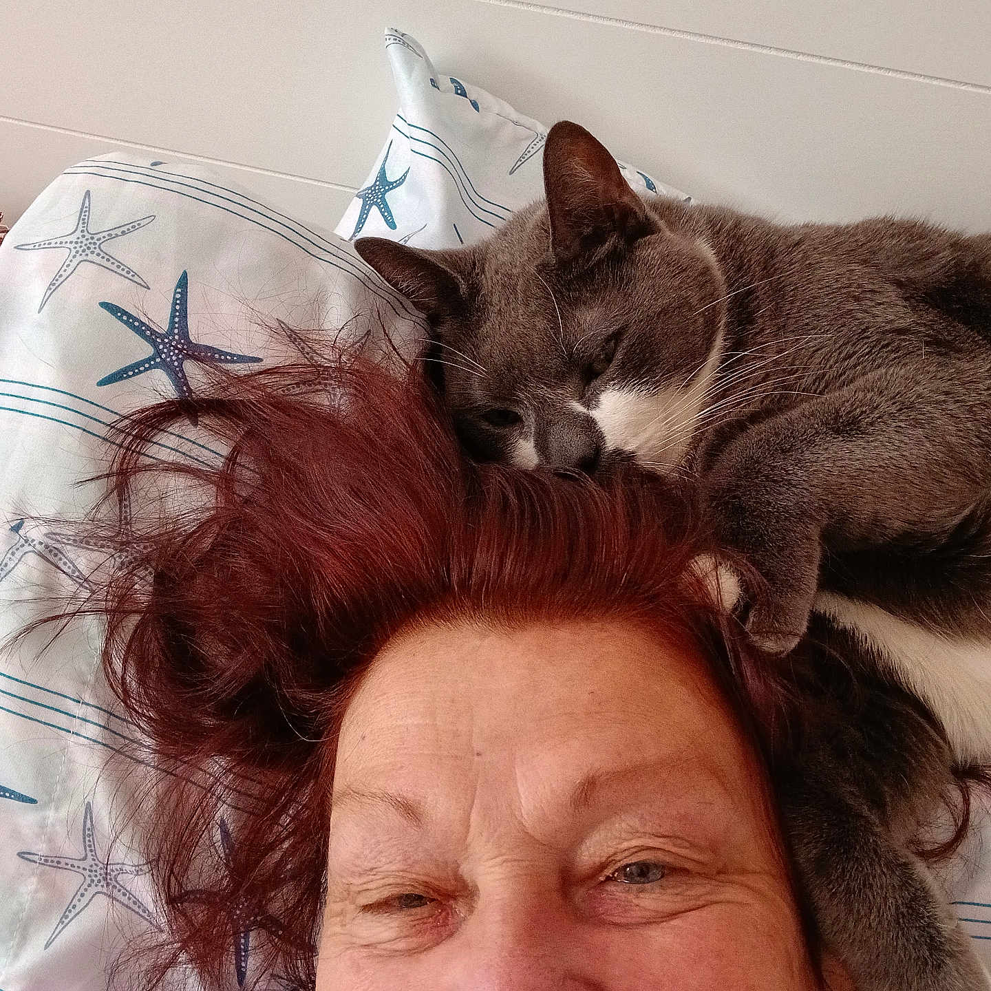 Buttons is registered to the contest to win money with this photo: bed, casual, cat, closeup, comfort, cozy, face, gray_cat, hair, indoor, pet, pillow, portrait, relaxed, resting, sleepy, smiling, snuggling, white_cat, woman