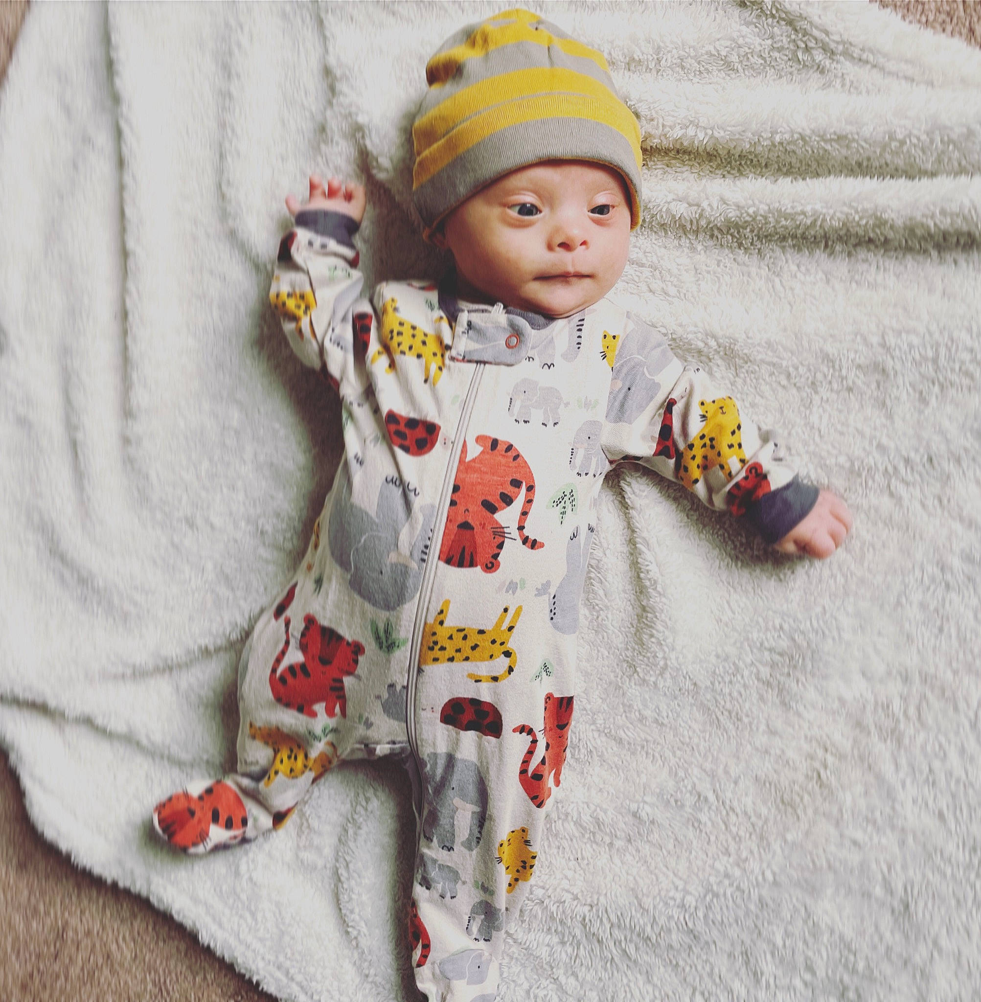 Benji joined the competition — help win amazing prizes! baby, baby_products, baby_toddler_clothing, beanie, cap, child, face, fashion_accessory, flooring, fur, headwear, knit_cap, linens, pattern, person, sitting, sleeve, t_shirt, textile, toddler