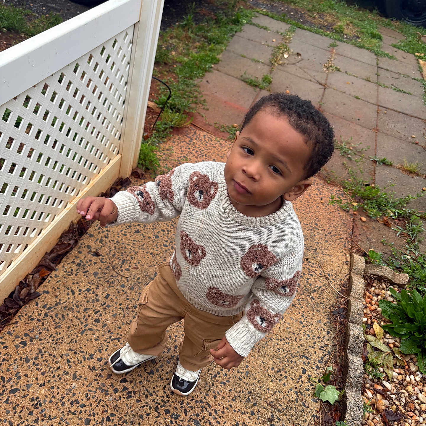 Jayse joined the competition — help win amazing prizes! toddler, child, sweater, bear_pattern, pants, sneakers, sidewalk, garden_bed, plants, leaves, car, truck, fence, outdoor, curious, standing, expression, clothing, daytime, person