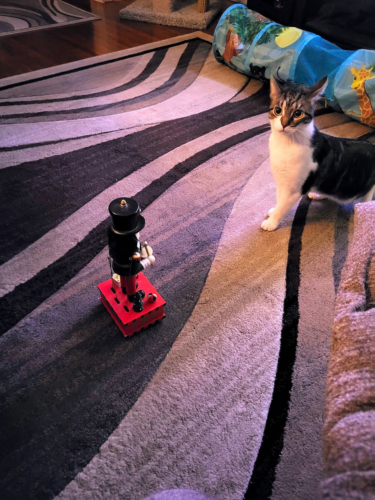 Lil Girl joined the competition — help win amazing prizes! asphalt, automotive_design, automotive_lighting, automotive_tire, automotive_wheel_system, bumper, carmine, concrete, darkness, floor, flooring, font, fun, human_leg, recreation, road, road_surface, rolling, shadow, tints_and_shades