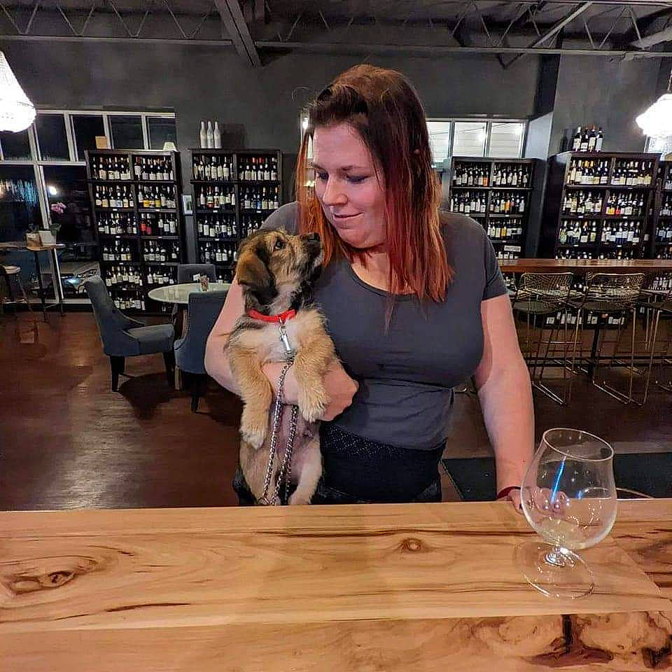 Dodger is registered to the contest to win money with this photo: barware, carnivore, chair, companion_dog, dog, dog_breed, drink, drinkware, event, fawn, flooring, furniture, hardwood, leisure, smile, stemware, table, tableware, wine_glass, wood