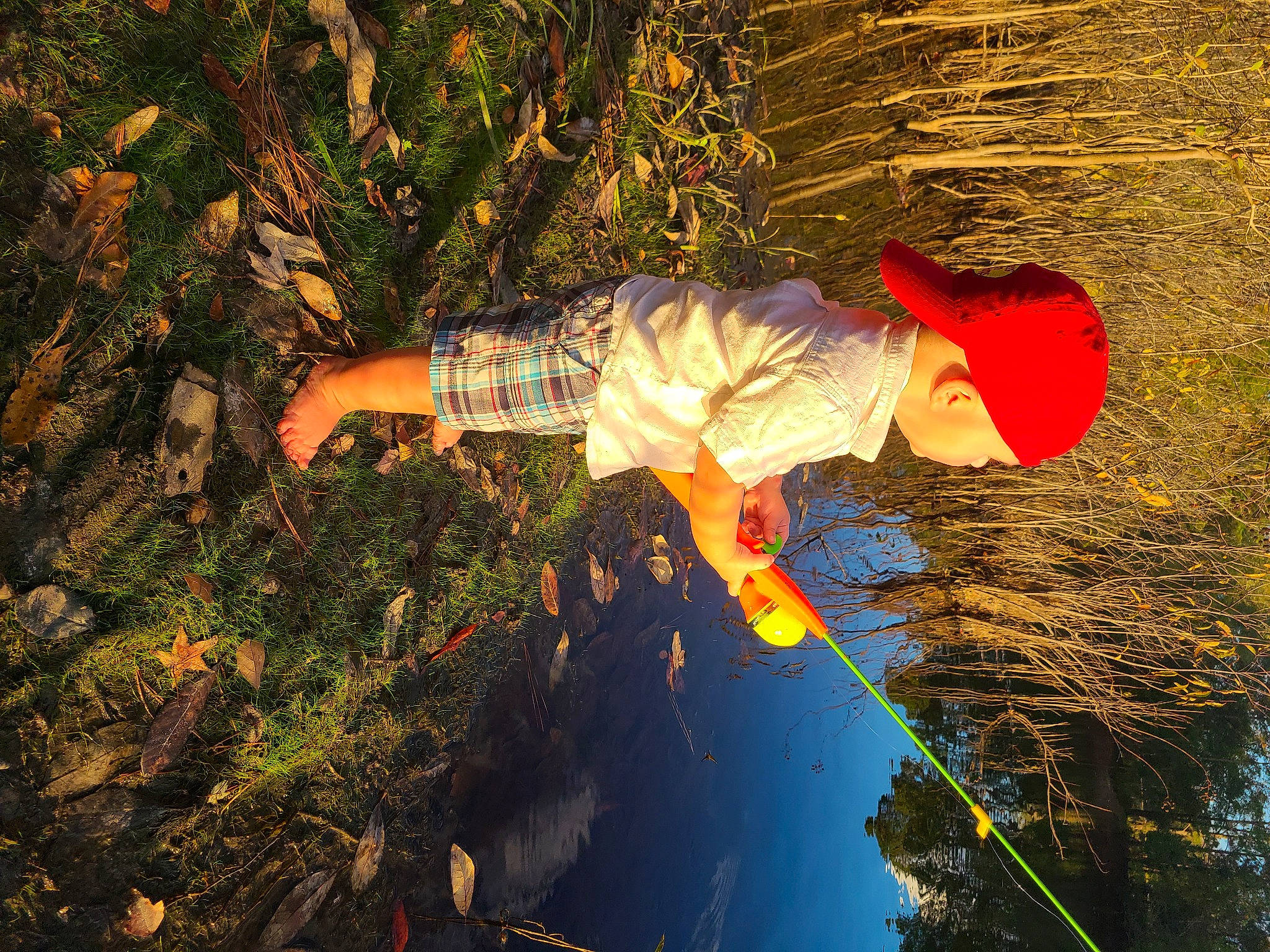 Jaxson joined the competition — help win amazing prizes! organism, person, reflection, space, sunlight, tree, water