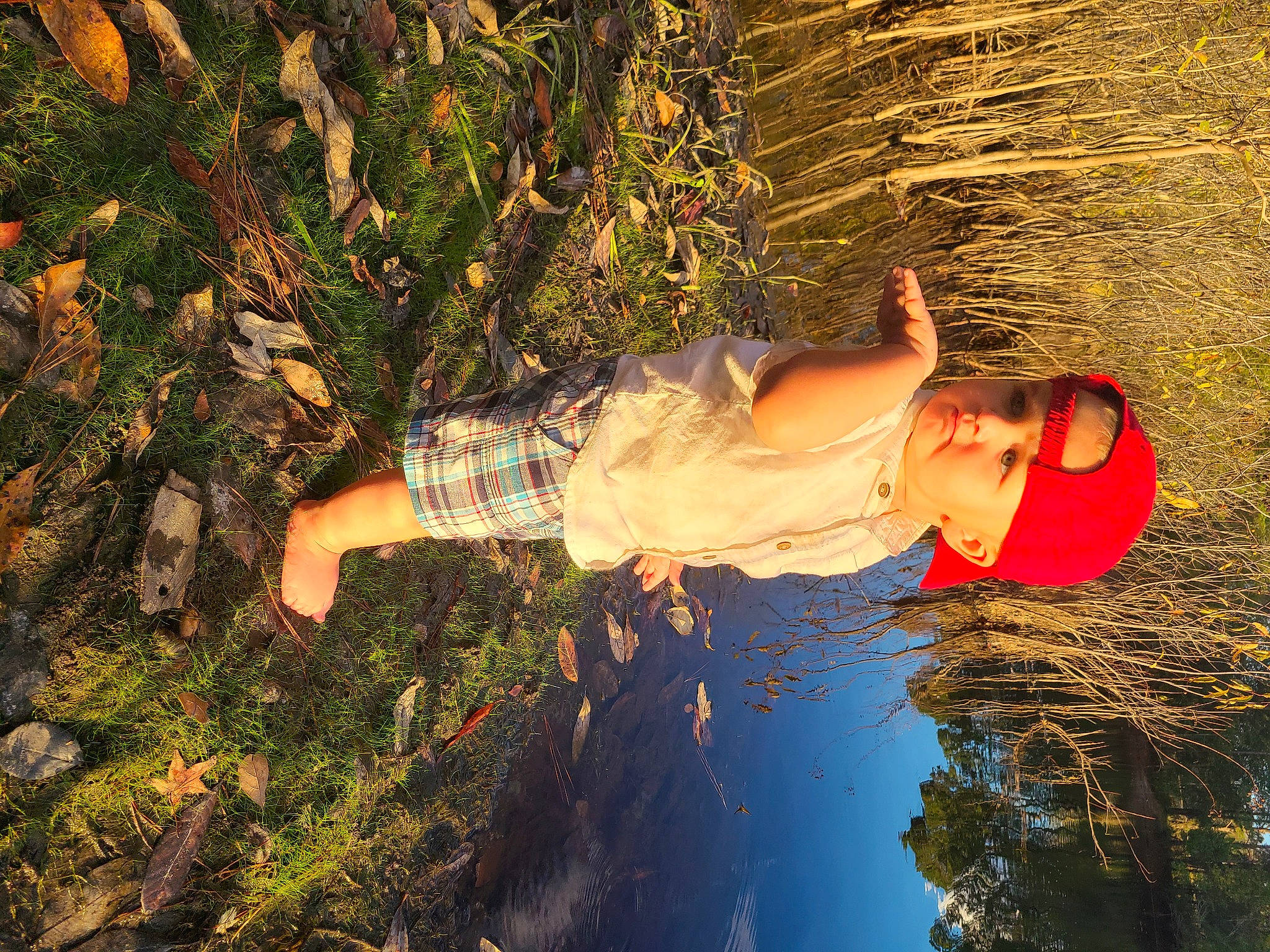 Jaxson is registered to the contest to win money with this photo: beauty, fun, grass, headwear, leisure, people_in_nature, person, photography, plant, sunlight, tree