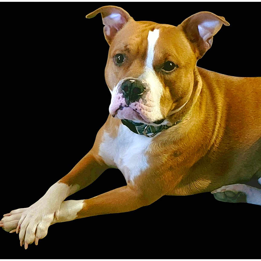 Milo