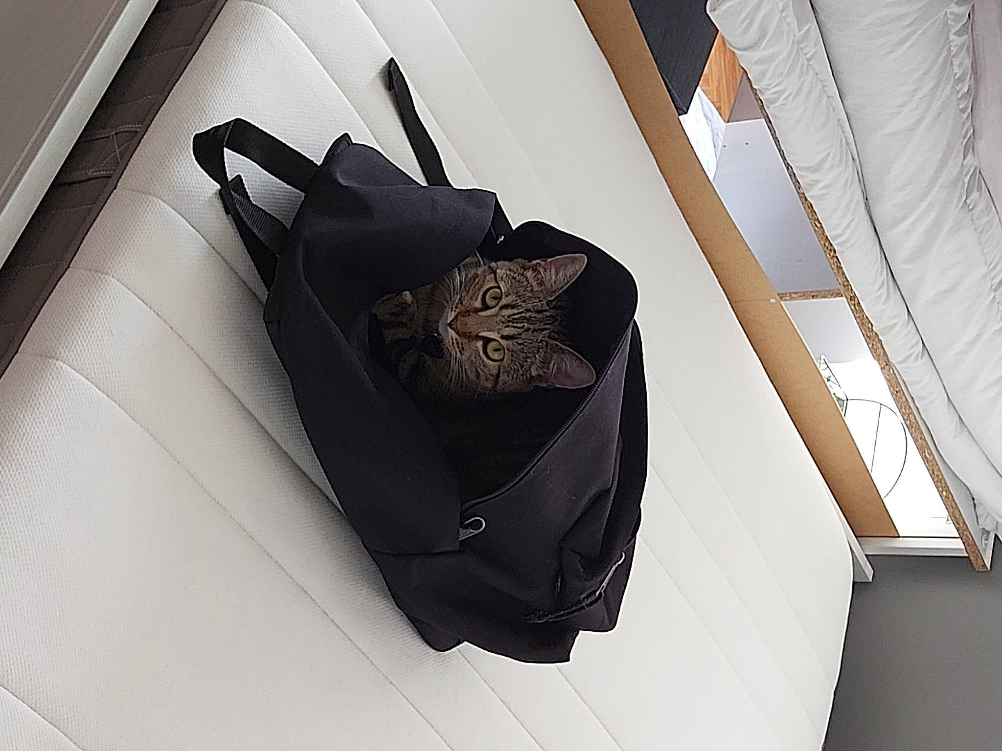 Plume participe au concours pour gagner de l'argent avec cette photo : bag, baggage, fashion_accessory, hand_luggage, luggage_and_bags, product