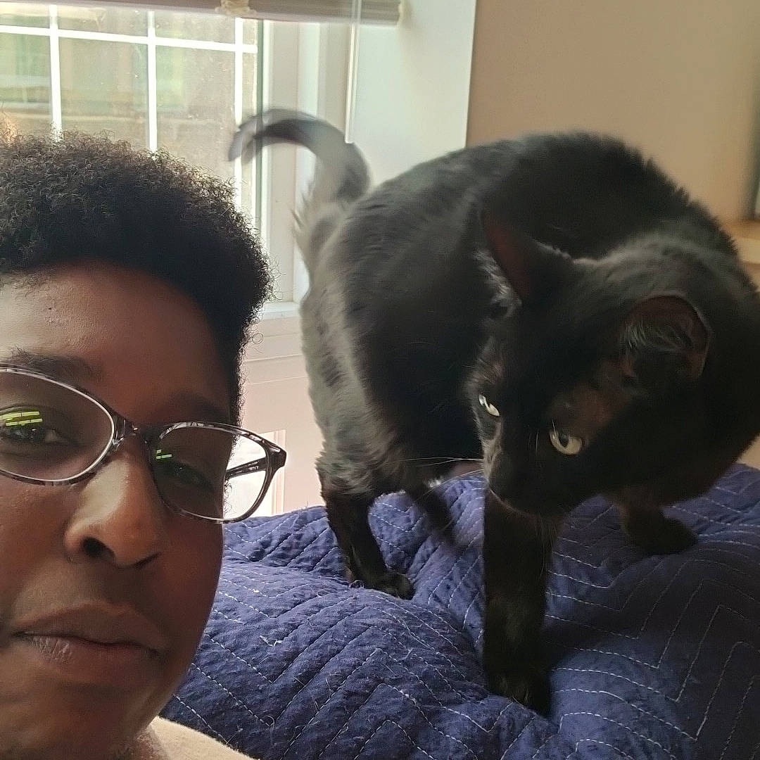 Blue joined the competition — help win amazing prizes! carnivore, cat, comfort, cool, domestic_short_haired_cat, ear, eyelash, eyewear, felidae, fur, gesture, glasses, happy, jaw, selfie, small_to_medium_sized_cats, snout, tail, vision_care, whiskers