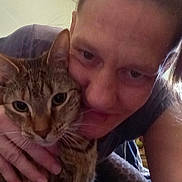 Twiggy joined the competition — help win amazing prizes! affection, animal, cat, close_up, companion, cozy, cuddle, cute, expression, face, feline, friendship, hand, human, indoor, love, person, pet, portrait, tabby_cat