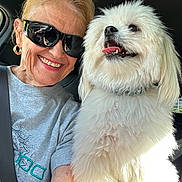 Chewy joined the competition — help win amazing prizes! woman, dog, pet, smiling, sunglasses, seatbelt, car, white_dog, fluffy, happy, tongue_out, portrait, indoor, casual_clothing, gold_earrings, short_hair, sunlight, closeup, friendship, companion