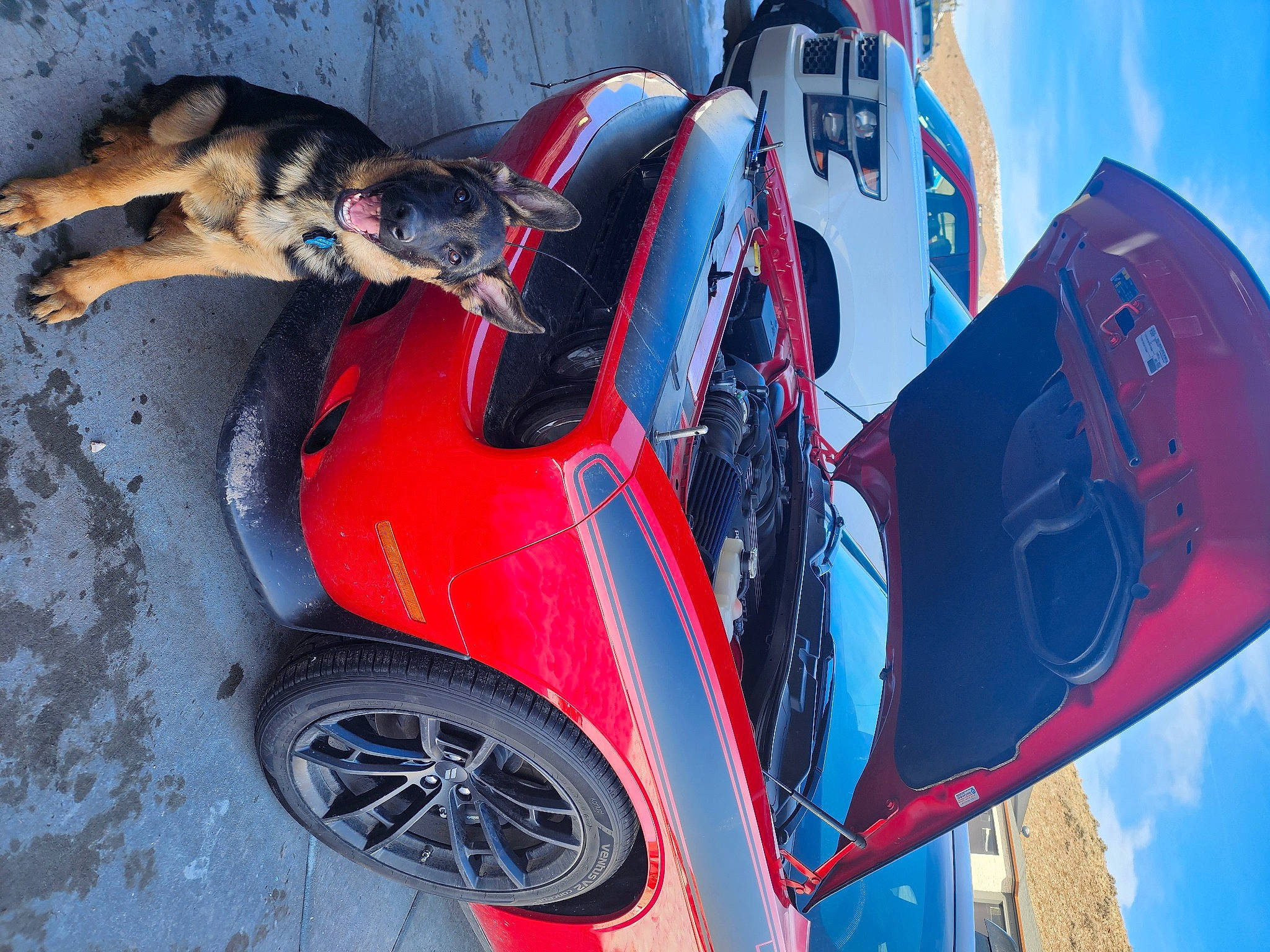 Bentley is registered to the contest to win money with this photo: alloy_wheel, automotive_design, automotive_exterior, automotive_lighting, automotive_tire, bumper, car, fender, hood, hubcap, light, motor_vehicle, red, rim, sky, synthetic_rubber, tire, tread, vehicle, wheel