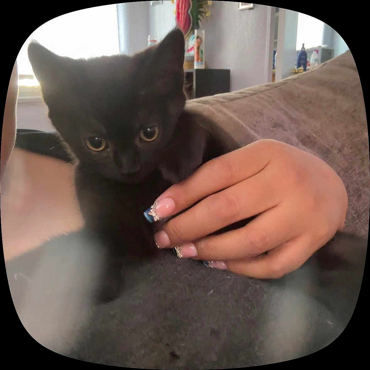 Luna