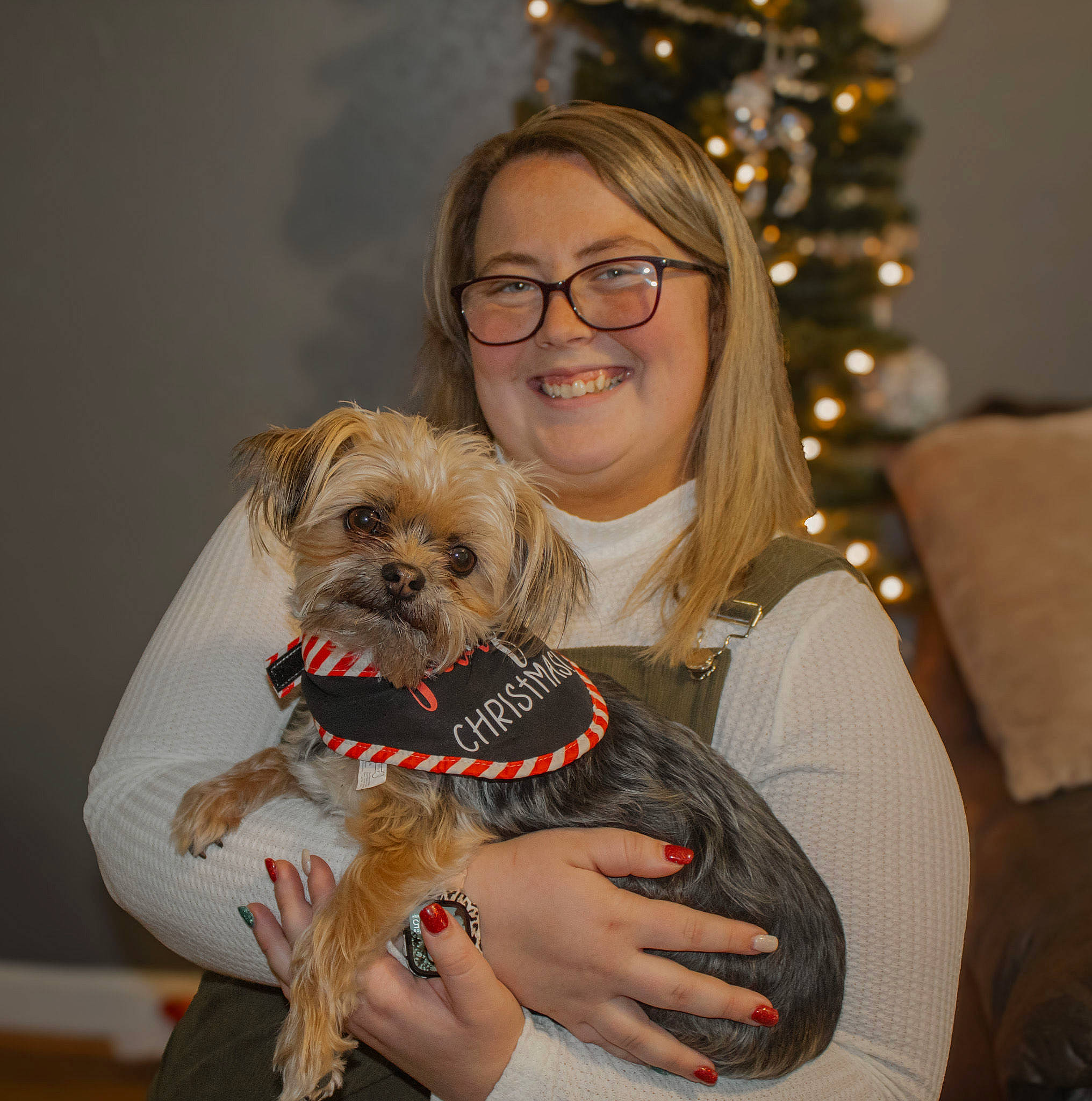 Luna is registered to the contest to win money with this photo: carnivore, christmas_decoration, christmas_tree, companion_dog, dog, dog_breed, dog_clothes, dog_supply, event, eyewear, fawn, glasses, hair, happy, small_terrier, smile, snout, toy_dog, vision_care, working_animal