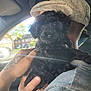 puppy, dog, black_fur, hand, tattoo, car_interior, sunlight, lens_flare, cap, hoodie, person, closeup, cute, pet, holding, window, daylight, outdoor_view, portrait, cozy