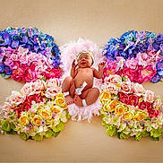 Josephine is registered to the contest to win money with this photo: artistic, baby, butterfly_shape, colorful_flowers, creative_photography, cute, delicate, floral_art, flower_arrangement, headband, infant, nature_inspired, newborn, pastel_colors, peaceful, pink_feathers, portrait, skin, sleeping_baby, soft_texture