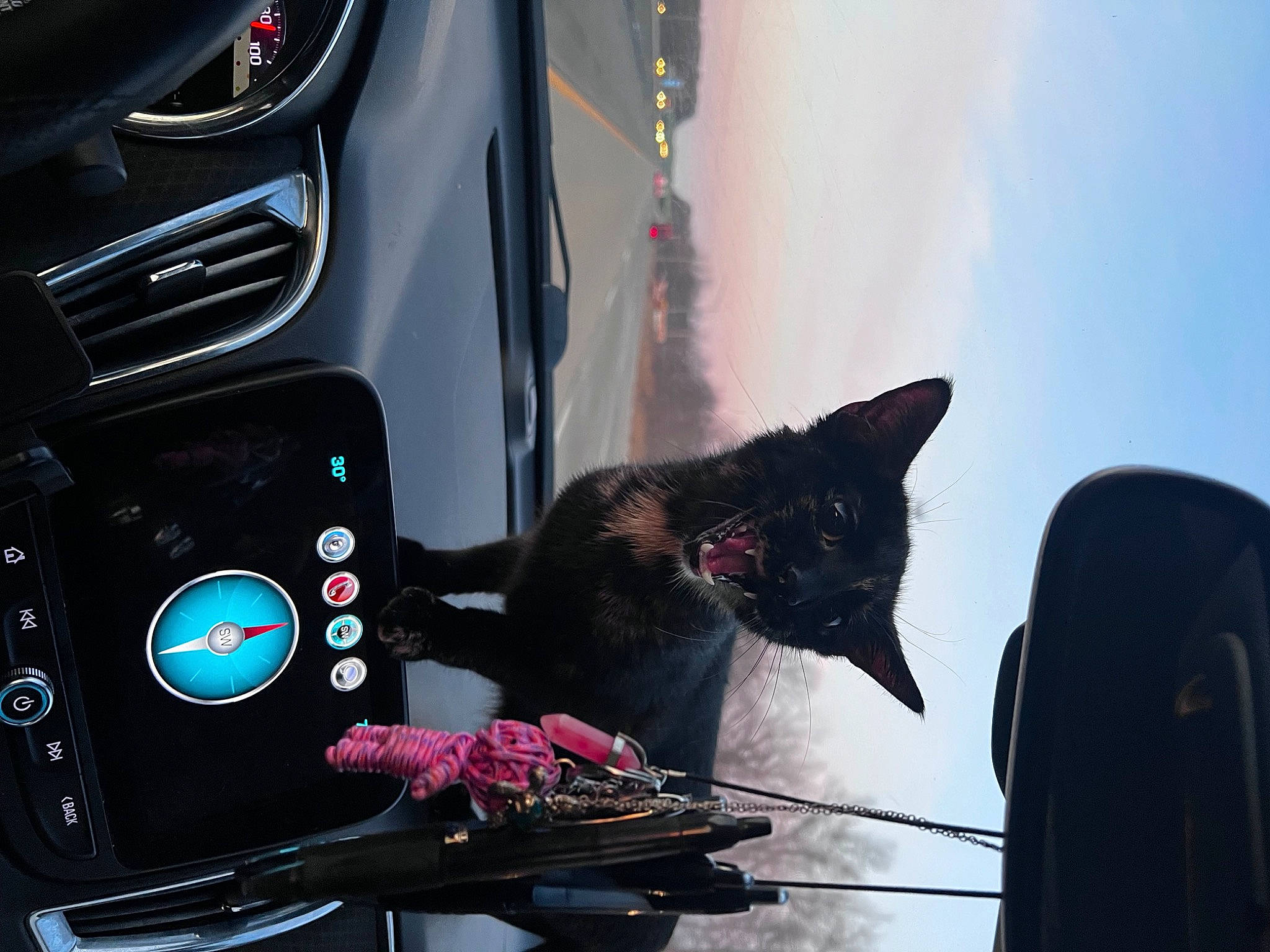 Nyla joined the competition — help win amazing prizes! audio_equipment, auto_part, automotive_design, automotive_exterior, automotive_lighting, automotive_mirror, automotive_tire, bumper, carnivore, cat, electric_blue, fender, hood, motor_vehicle, personal_luxury_car, sky, vehicle, vehicle_door, whiskers, window