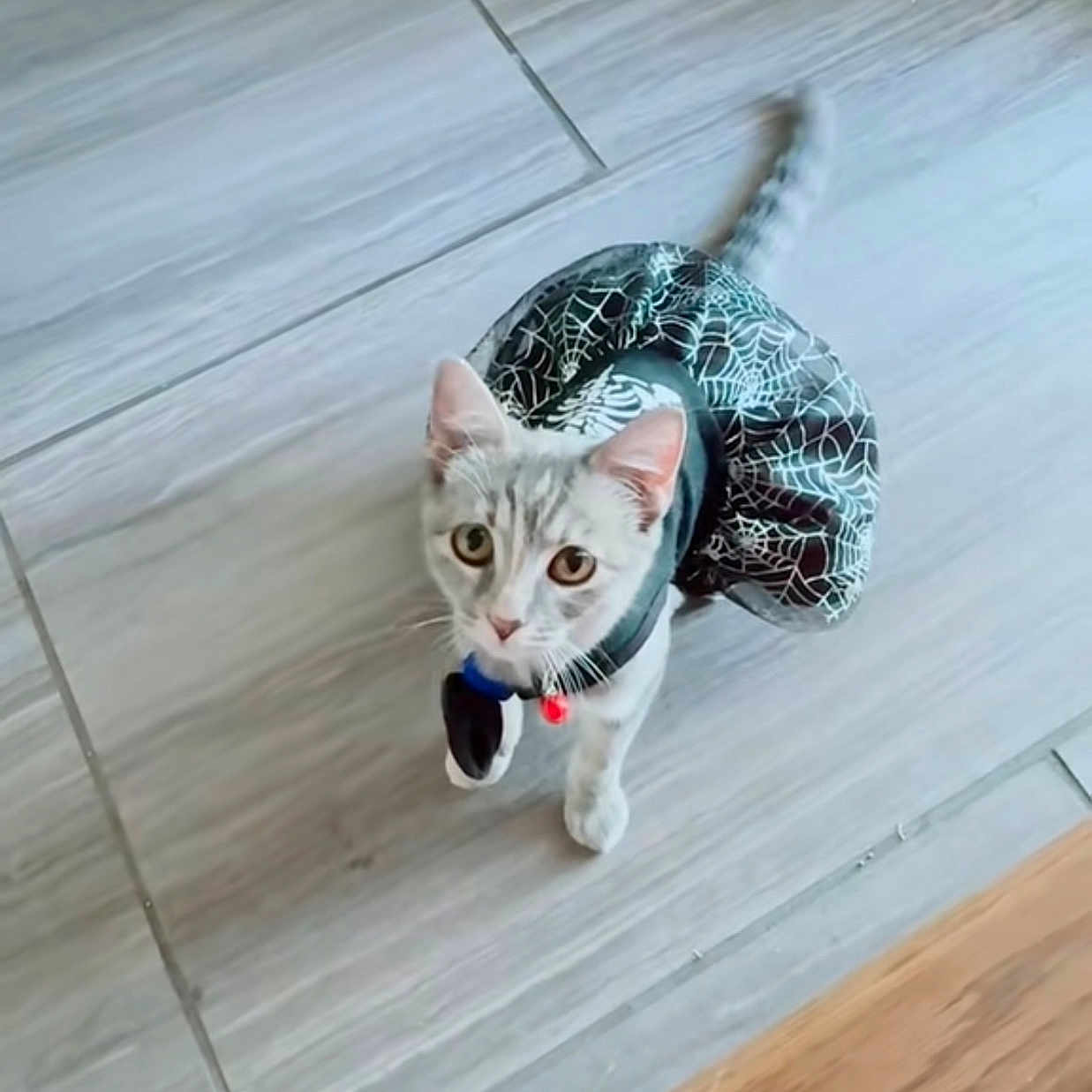 Luna