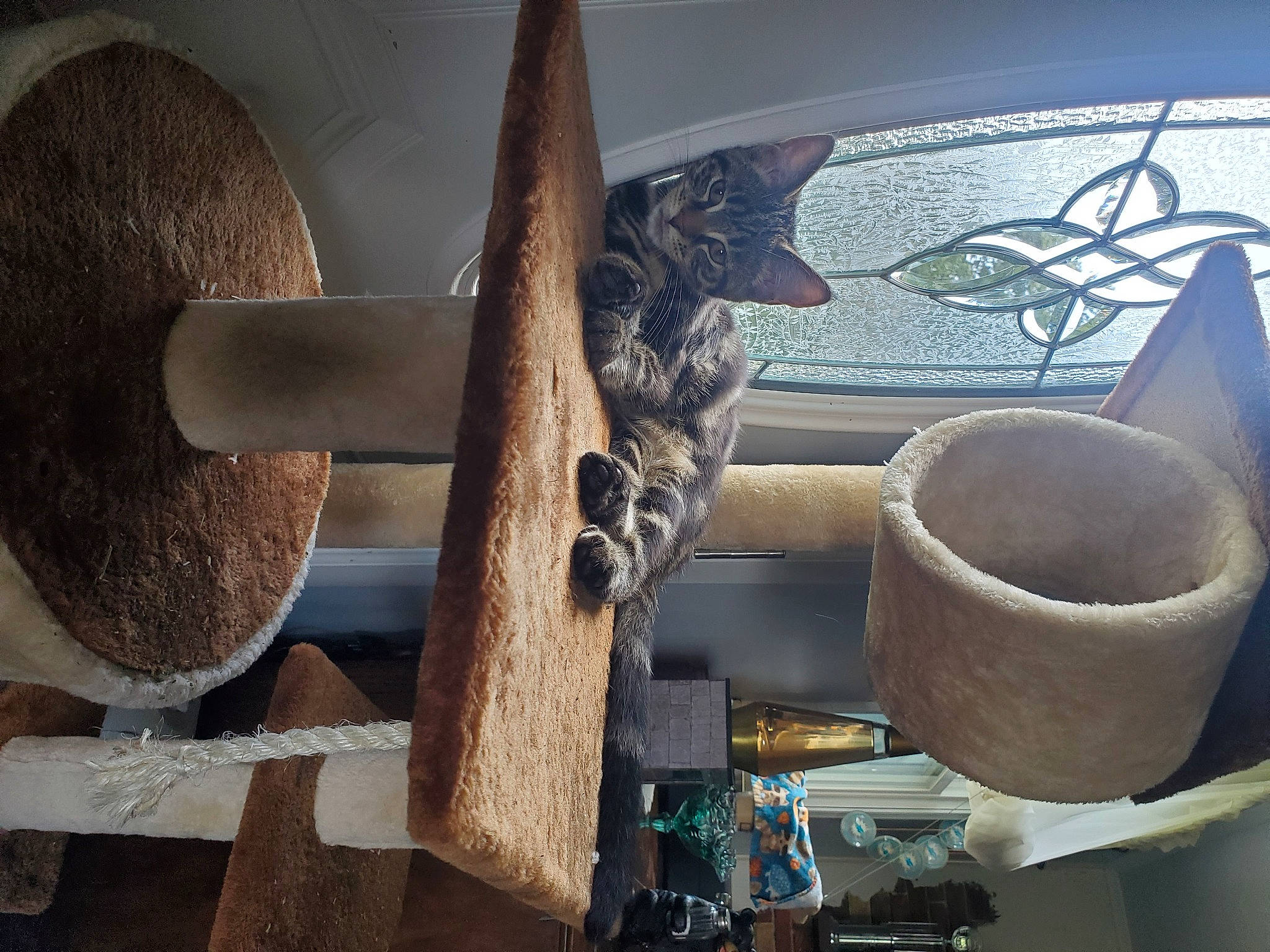 Havoc is registered to the contest to win money with this photo: art, auto_part, automotive_tire, automotive_wheel_system, circle, gas, hat, idiophone, machine, metal, motor_vehicle, musical_instrument, pipe, propeller, rust, steering_wheel, wheel, windshield, wire, wood