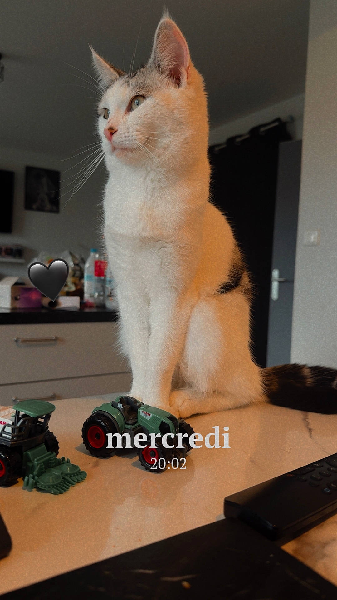 Mimoucha a rejoint le concours — aidez-le/la à gagner de superbes lots ! animal, black_and_white_cat, cat, countertop, daytime, decor, domestic, door, feline, household, indoor, kitchen, looking_away, pet, remote_control, sitting, still_life, toy, tractor, white_cat