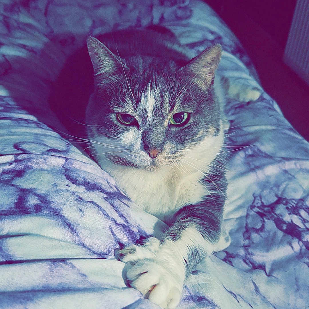 Missy