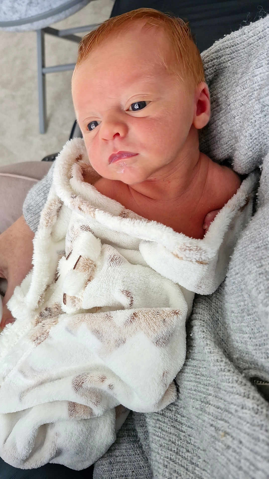 Donovan joined the competition — help win amazing prizes! baby, newborn, blanket, soft, wrapped, face, skin, person, infant, cozy, knitwear, warm, indoor, closeup, child, cute, resting, expression, human, comfort