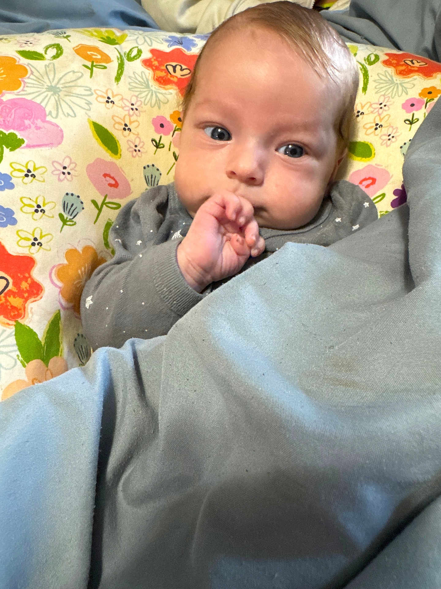 Belladonna joined the competition — help win amazing prizes! baby, child, blanket, pillow, floral_pattern, hand, face, eyes, clothing, indoors, cute, infant, sucking_fingers, portrait, cozy, soft, colorful, expression, resting, young