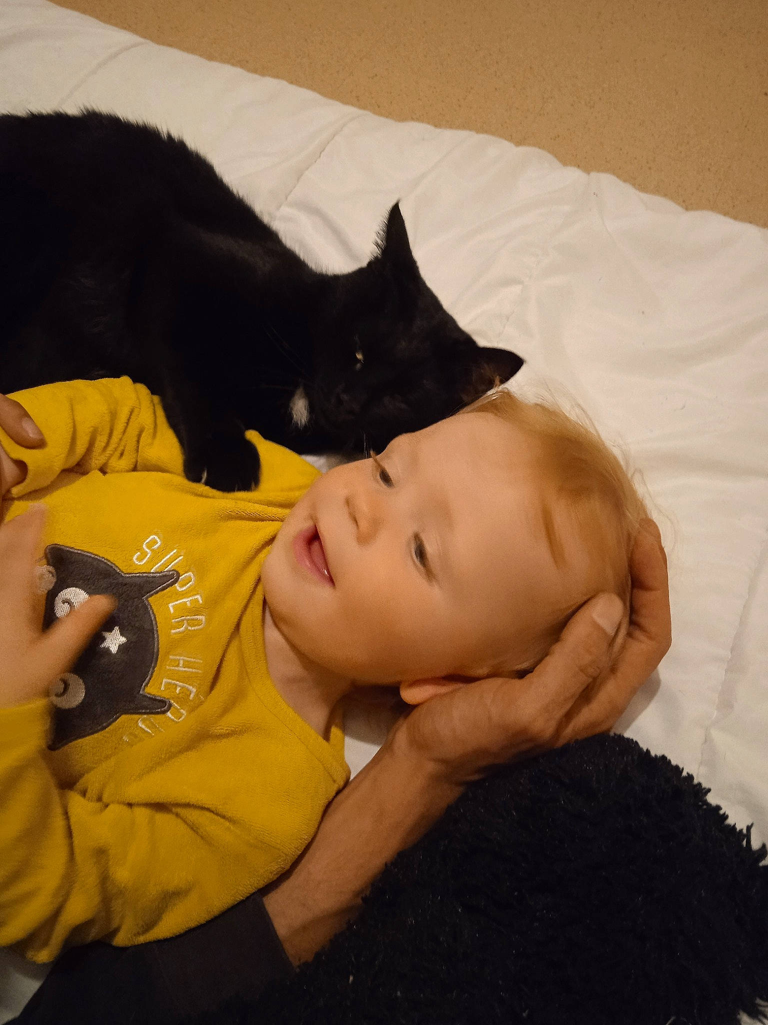 Mani participe au concours pour gagner de l'argent avec cette photo : cat, child, comfort, felidae, fun, fur, gesture, happy, linens, mouth, nap, person, room, sitting, sleep, sleeve, smile, textile, toddler, vertebrate