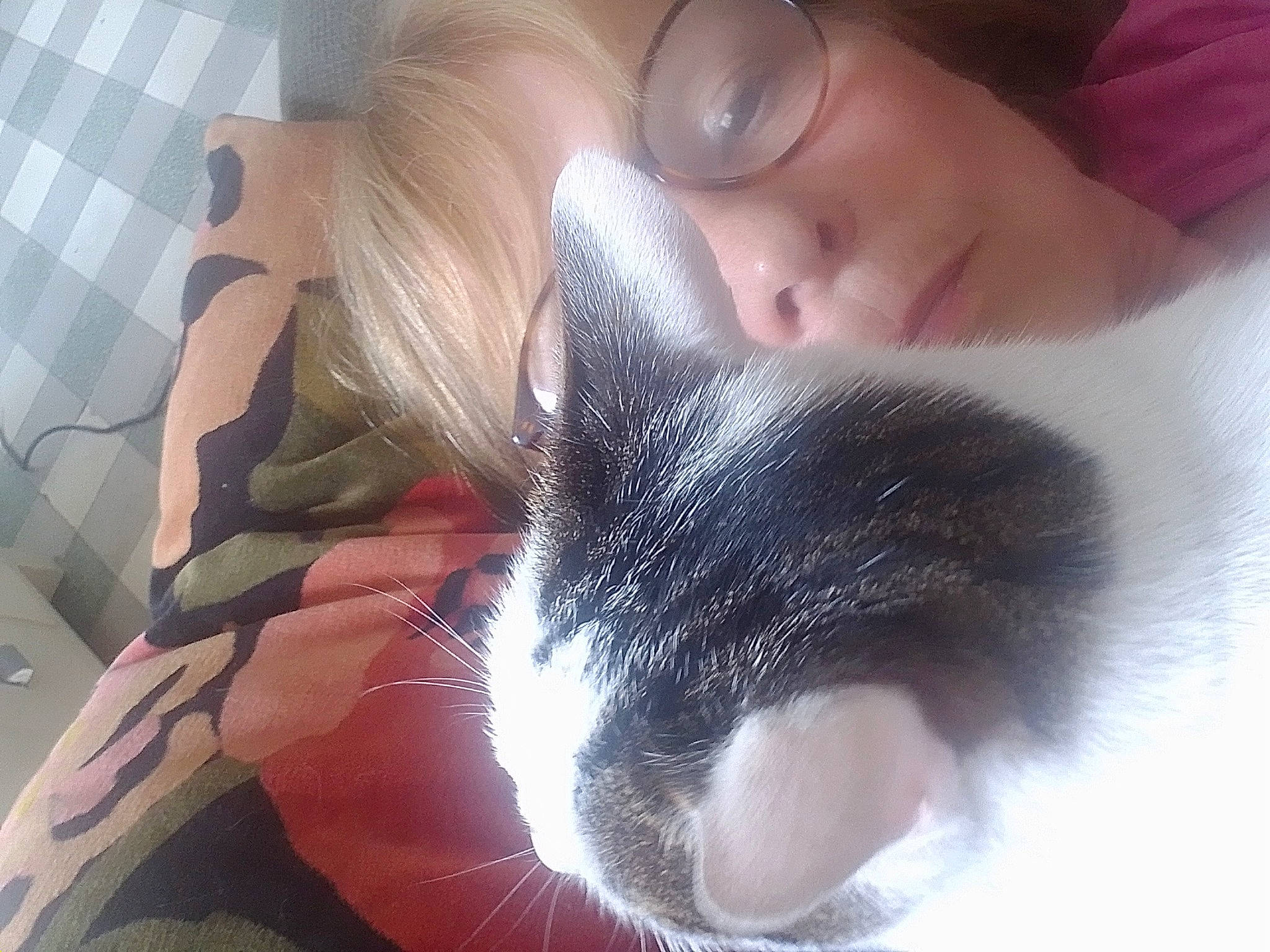 Mariot a rejoint le concours — aidez-le/la à gagner de superbes lots ! beard, carnivore, cat, comfort, ear, eyebrow, eyelash, felidae, finger, fur, gesture, iris, jaw, nail, nose, paw, skin, small_to_medium_sized_cats, snout, whiskers