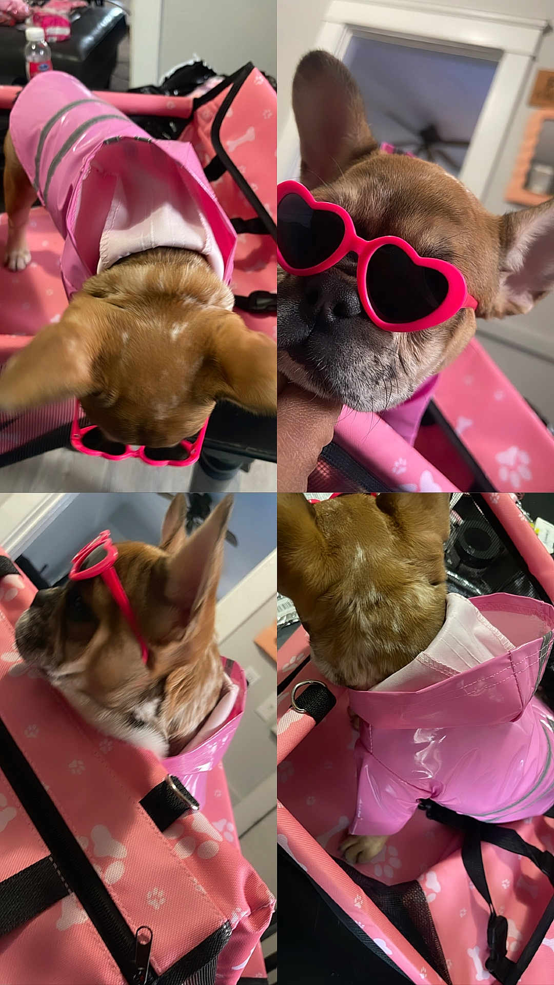 Lulu