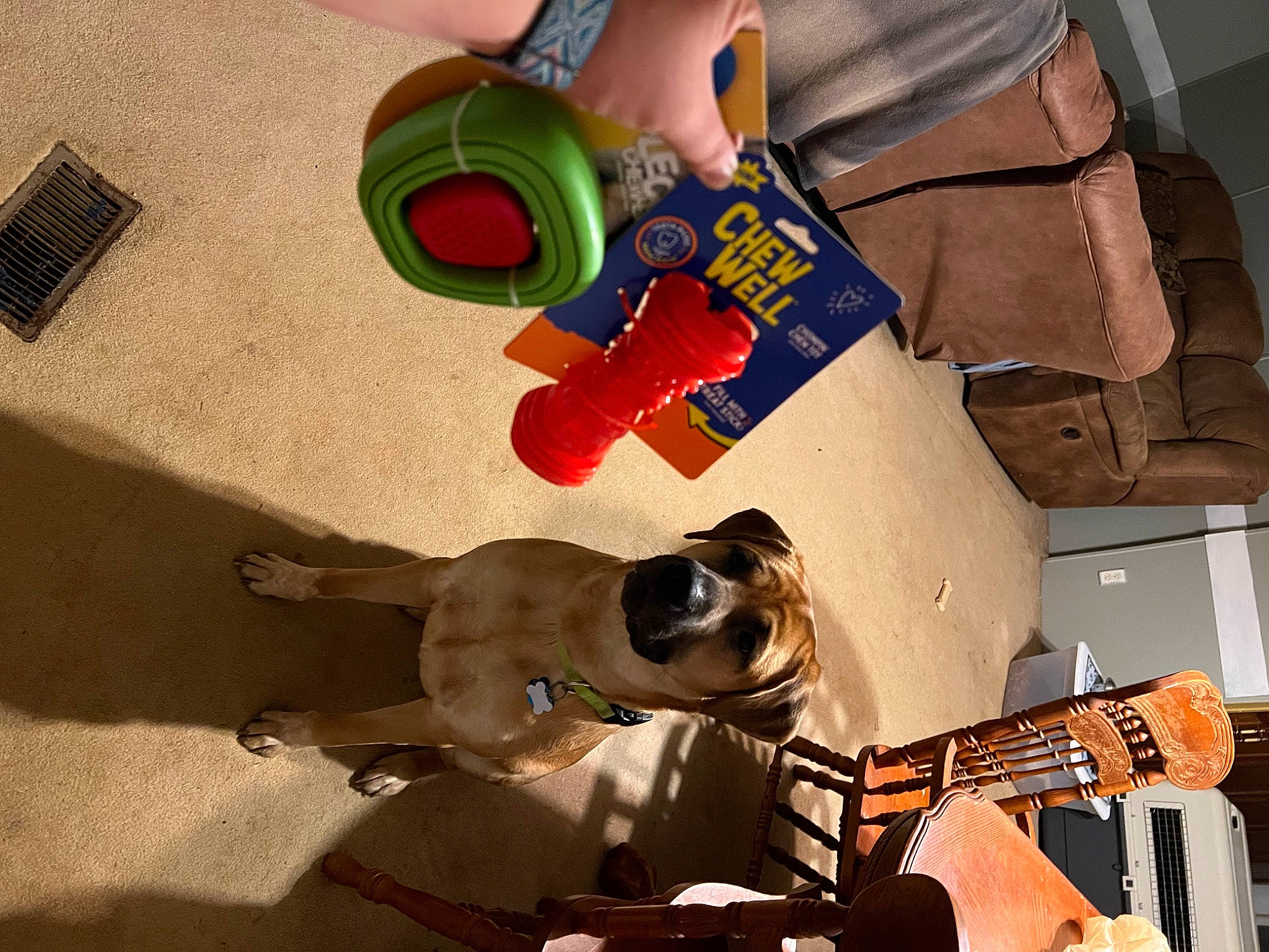 Bear joined the competition — help win amazing prizes! carnivore, companion_dog, dog, dog_breed, eyewear, flooring, foot, fun, guitar_accessory, human_leg, personal_protective_equipment, plucked_string_instruments, recreation, room, selfie, sporting_group, thigh, visual_arts, wood