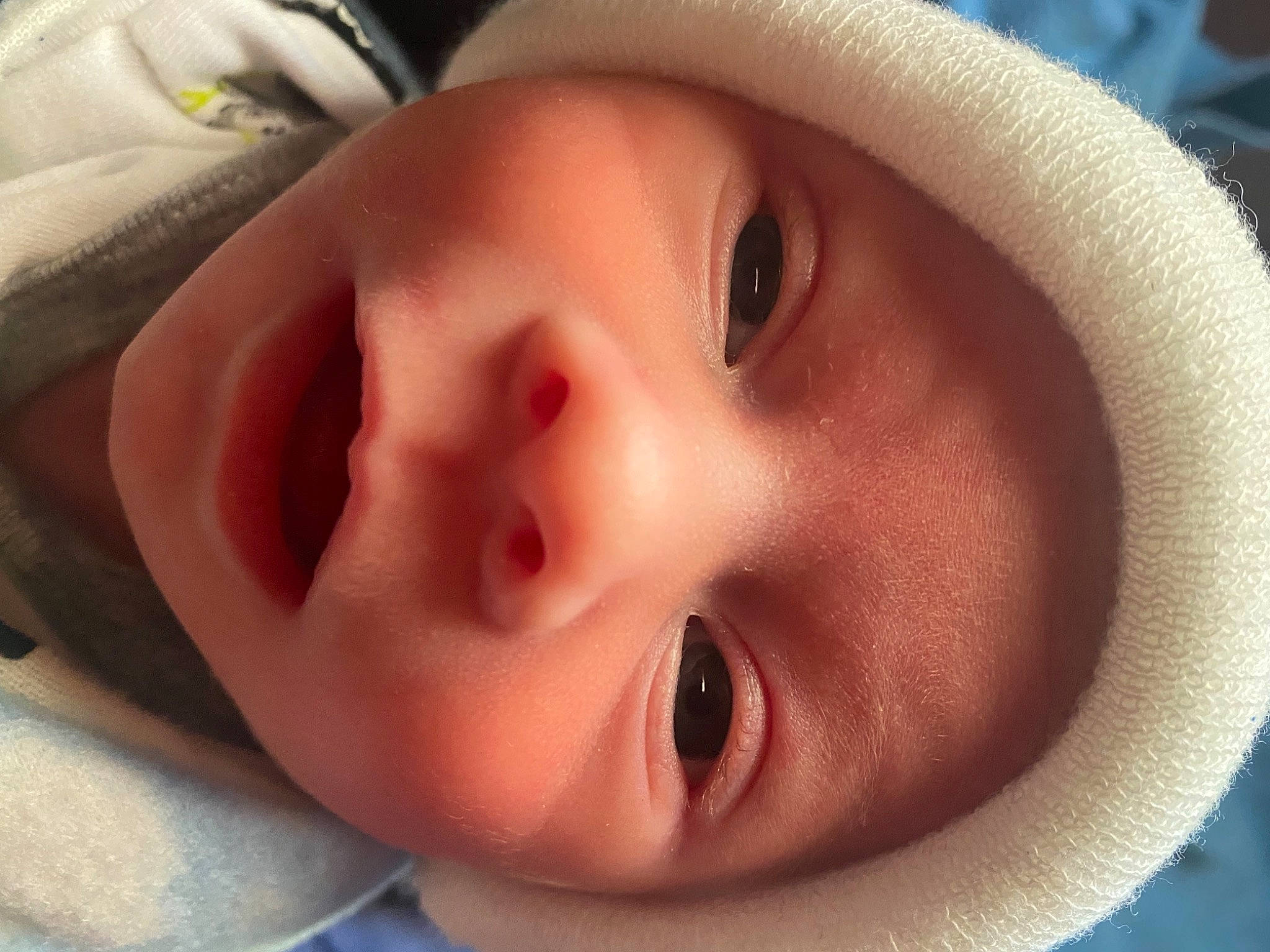 Chase joined the competition — help win amazing prizes! baby, blue, cheek, chin, comfort, ear, eye, eyebrow, eyelash, forehead, headgear, iris, lip, mouth, nose, organ, person, product, skin, smile