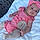 Janely