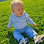 blue_hoodie, casual_clothing, child, curly_hair, daylight, graffiti, grass, greenery, happy, jeans, nature, outdoor, park, playful, sitting, smiling, sneakers, sunlight, toddler, wall