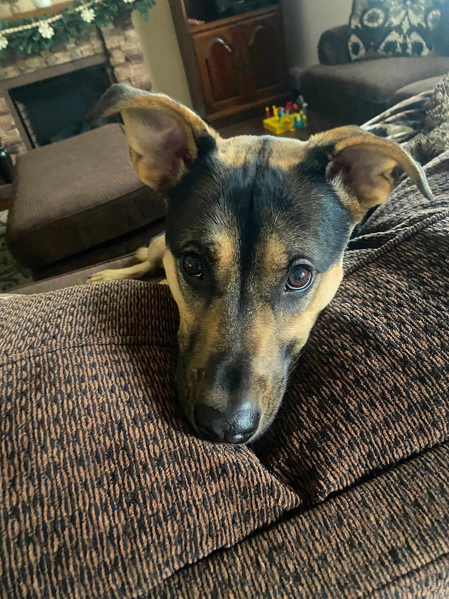 Sadie