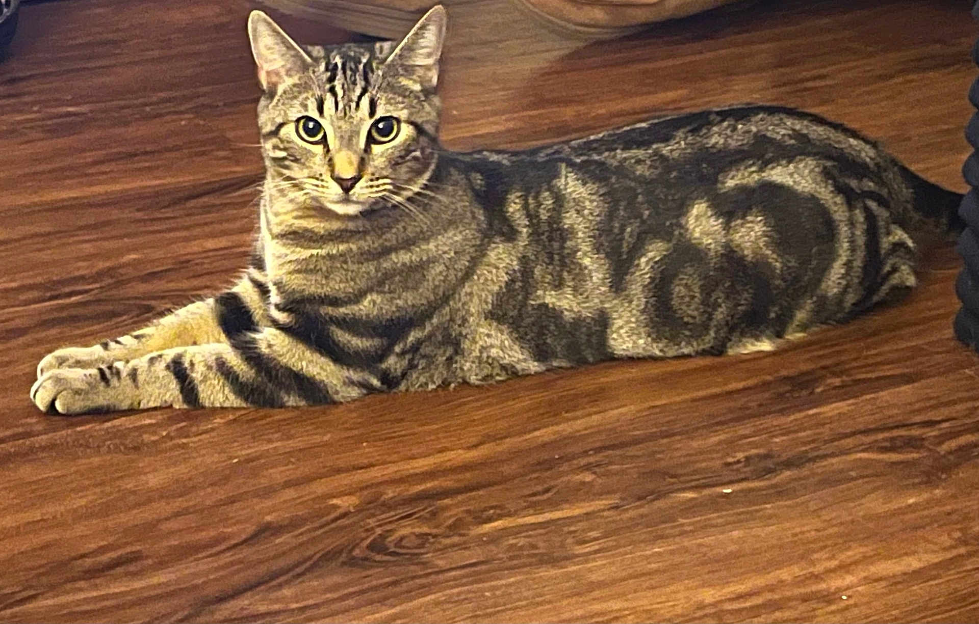 Tigger