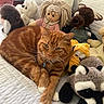 cat, orange_tabby, plush_toy, stuffed_animal, bedspread, quilt, doll, racoon_plush, brown_bear_plush, yellow_plush, indoor, furniture, relaxed, pet, collar, soft_toys, cute, animal, resting, cozy